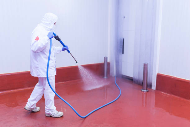 Best Graffiti Removal  in Ipswich, SD